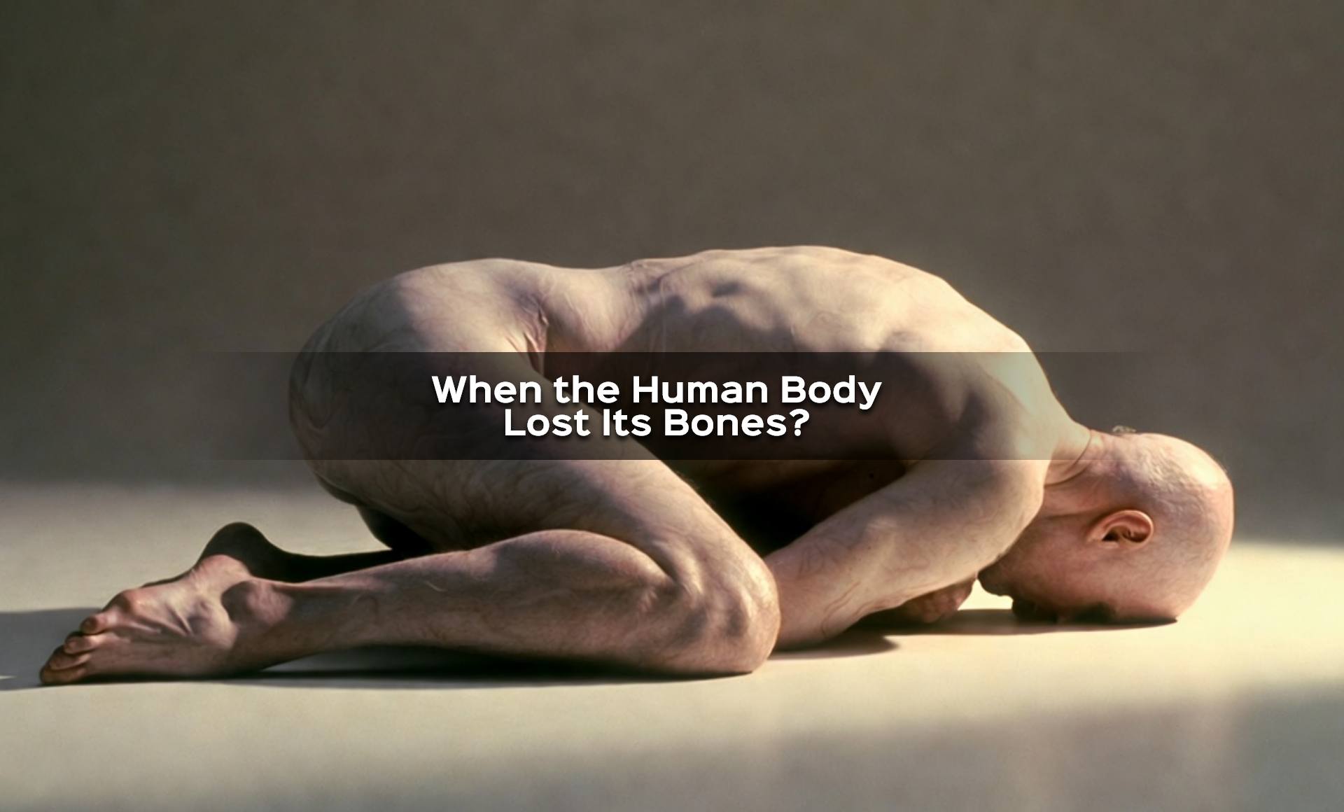 What Happened When the Human Body Lost Its Bones